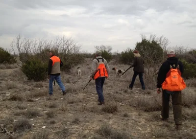 Texas Blue & Bobwhite Quail Hunt